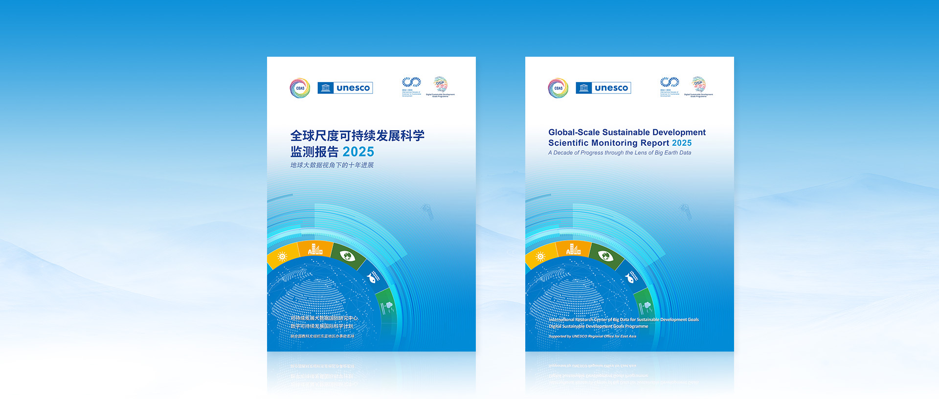 Breaking Limits of Traditional Data: Big Earth Data Provides Precise Diagnosis of a Decade of Global Sustainable Development