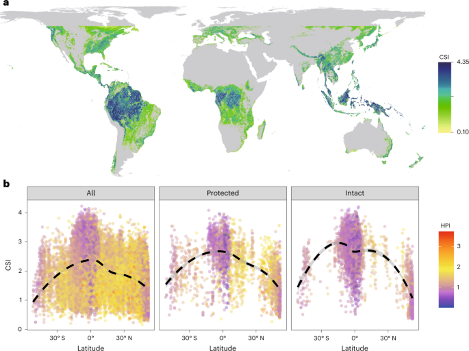 Study Sheds Light on How Human Activities Shape Global Forest Structure