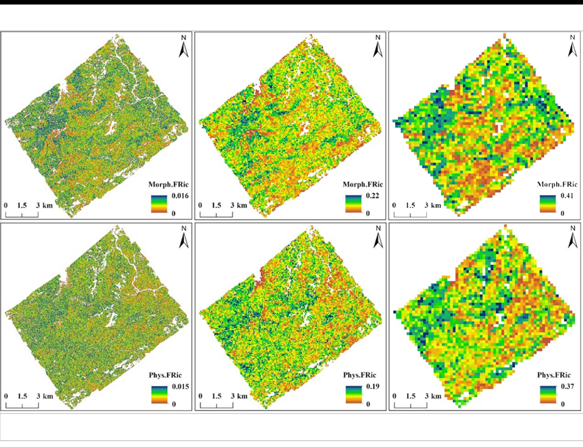 Estimating Forest Functional Diversity by Remote Sensing