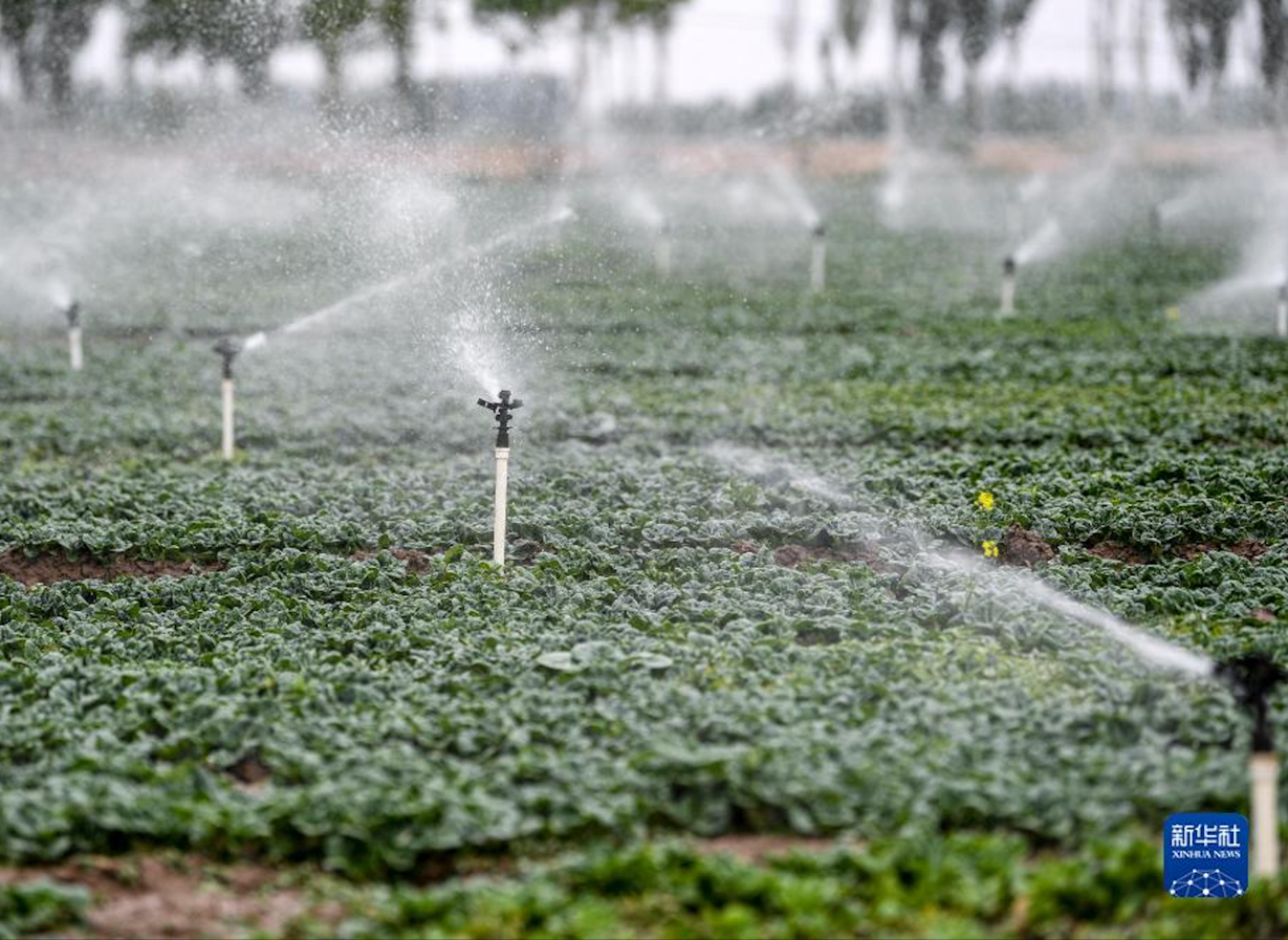 China Focus: Researchers Uncover Future Variations of Irrigation Water Use in China