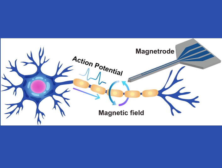 High-Sensitivity TMR-Based Magnetrodes Usher in New Possibilities for Brain Magnetic Field Detection
