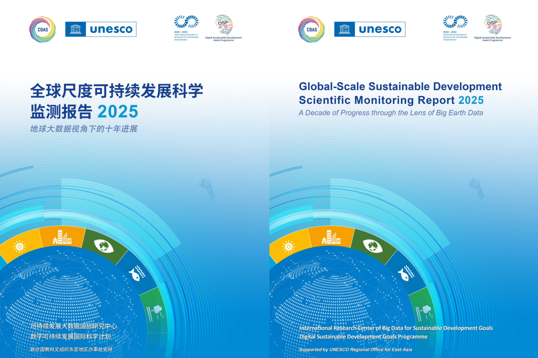 Breaking Limits of Traditional Data: Big Earth Data Provides Precise Diagnosis of a Decade of Global Sustainable Development