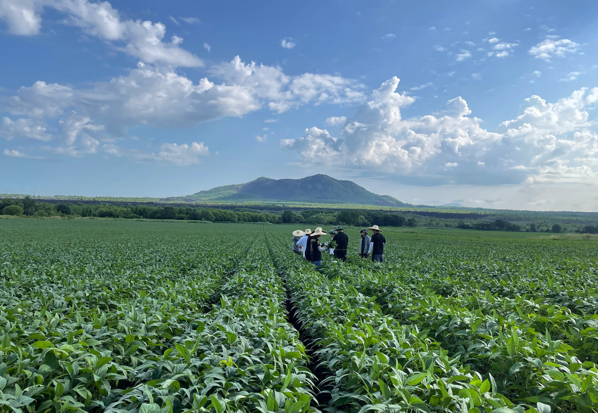 Third Conference on Remote Sensing of Vegetation Pests and Diseases Held Online