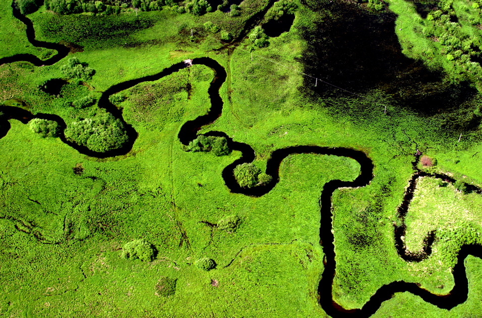 International Event Held to Strengthen Wetland Conservation in Cold Regions during COP 14