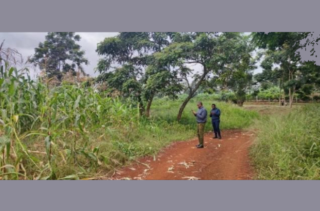 CropWatch Team Conducts Field Survey in Kenya