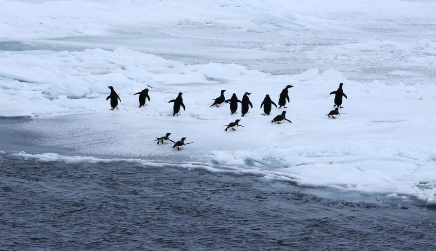 China to Build Platform for Arctic Environment Remote Sensing<br>