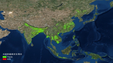 AIR Releases a Report on Monitoring and Forecasting of Global Soybean and Rice Diseases and Pests