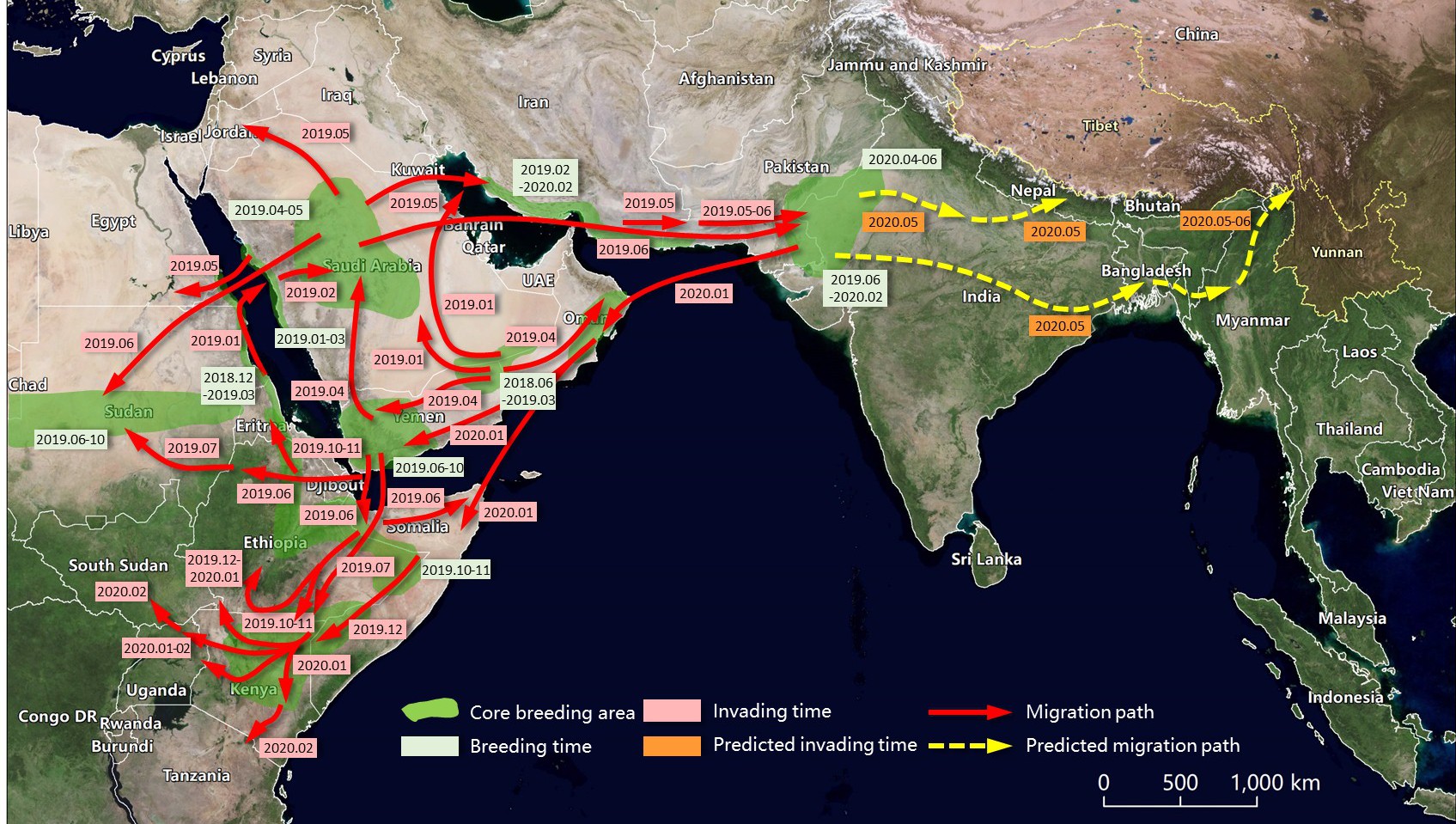 CAS Scientists Assess Risk of Desert Locust Invasion to China, Based on Remote Sensing Monitoring