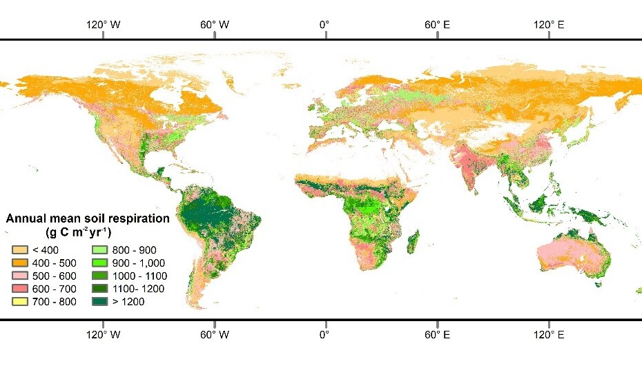 Researchers Reveal Relationship of Global Soil Respiration with Climate and Land Cover Changes