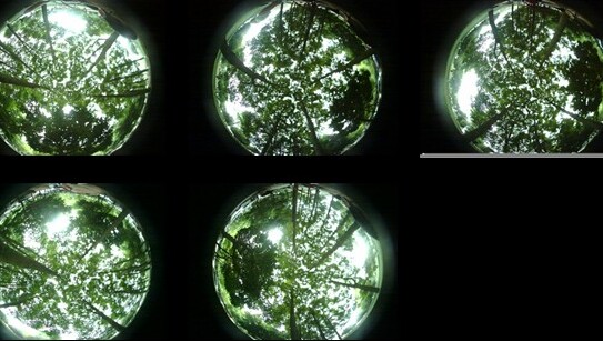 AIR Develops Portable Image Acquisition System for Vegetation Canopy to Support Quantitative Remote Sensing Applications