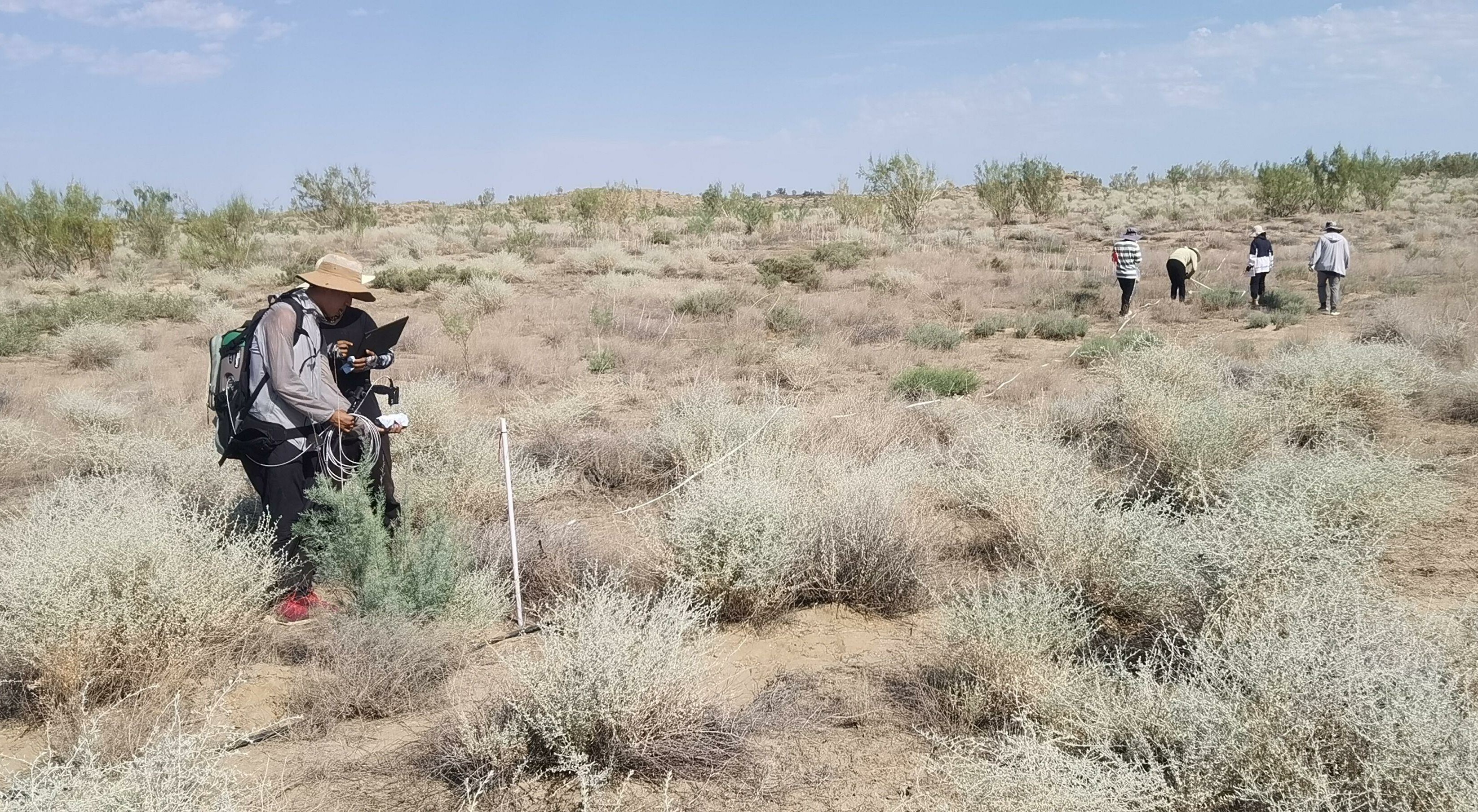 AIR Organizes Joint experiment to Validate Satellite Data Application for Agriculture and Desert Ecology