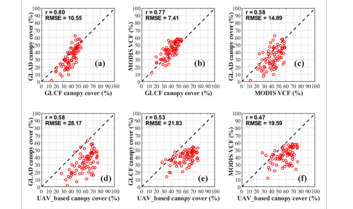 Global Forest Canopy Covers may be Underestimated, Study Finds