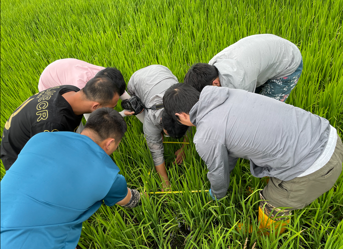 AIR Researchers Carry out Scientific Experiments and Field Surveys for Black Earth Cropland Monitoring