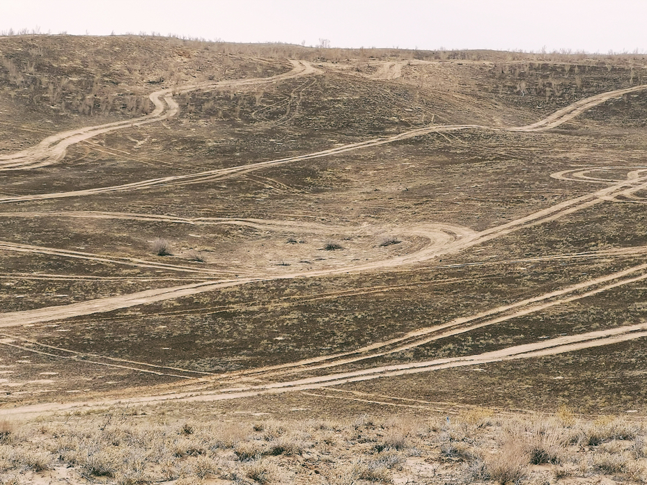 Study Reveals Human Activities and Natural Impacts on Biological Soil Crusts in China’s Drylands