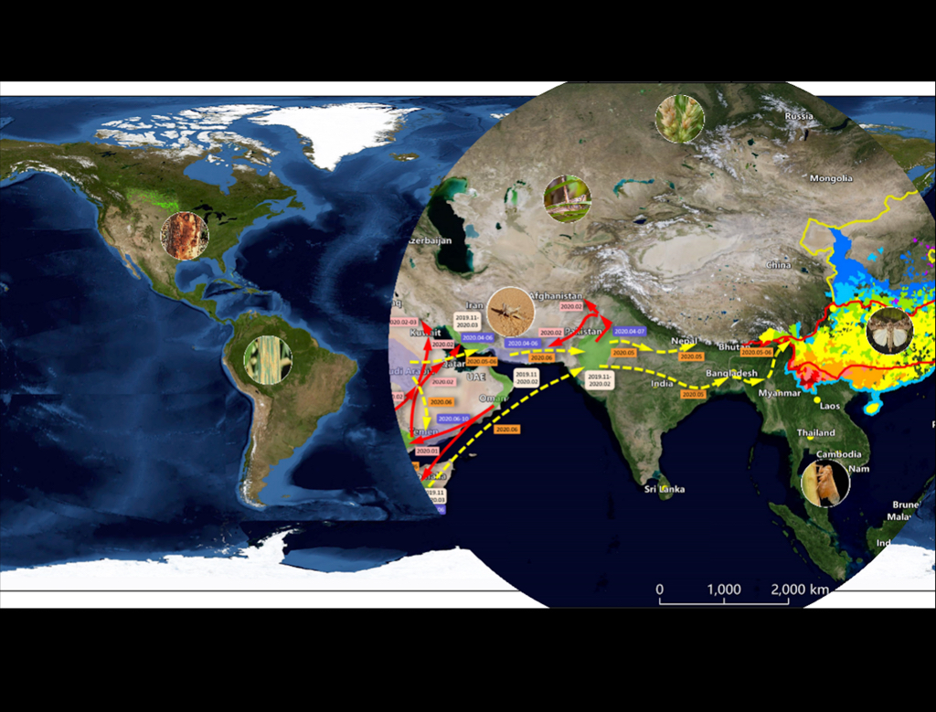 Advancements in Satellite-based Crop Disease and Pest Monitoring