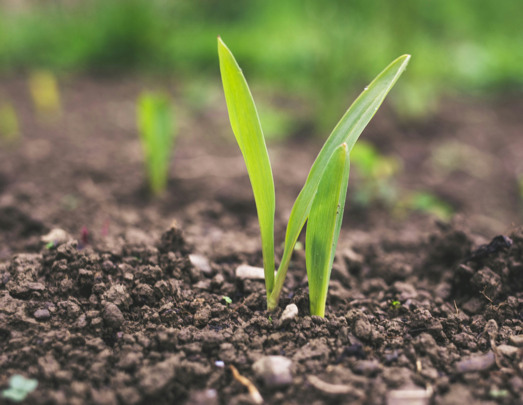 Knowledge-Guided AI Algorithm Sharpens Global Soil Moisture Maps to 5 km Resolution