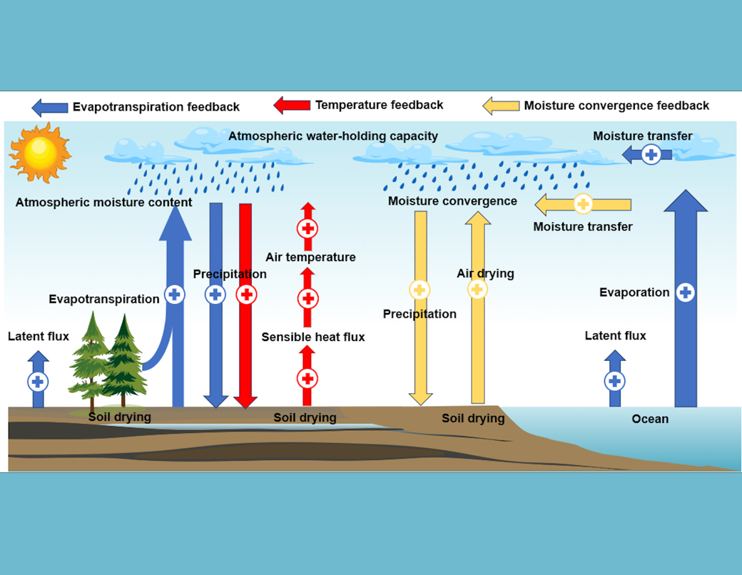 Half the World Is Drying, but Not as Models Predict: New Global Soil Moisture Study