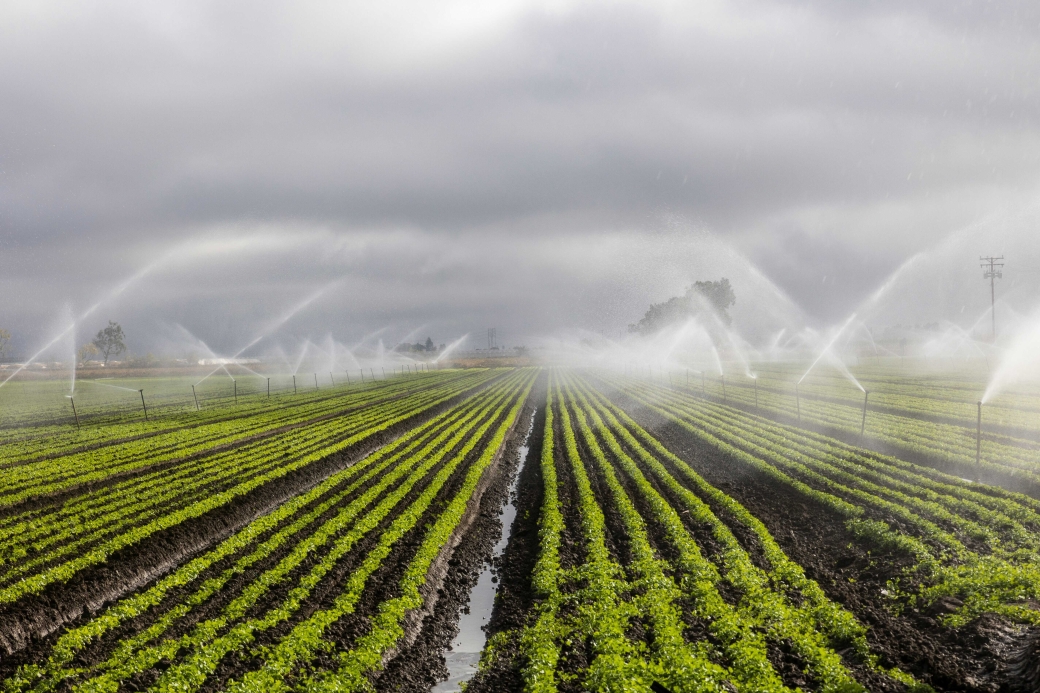 AI Method Enables High‑Resolution Mapping for China's Agricultural Irrigation Water Use Over 20 Years